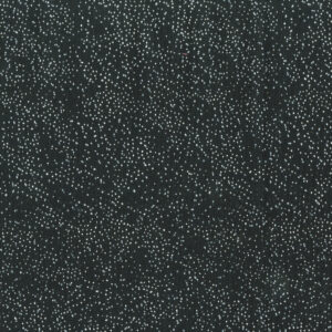 BC31QX Silver Dots