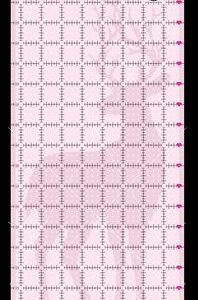 Tula Pink - Patchwork liniaal 8,5x18,5 inch
